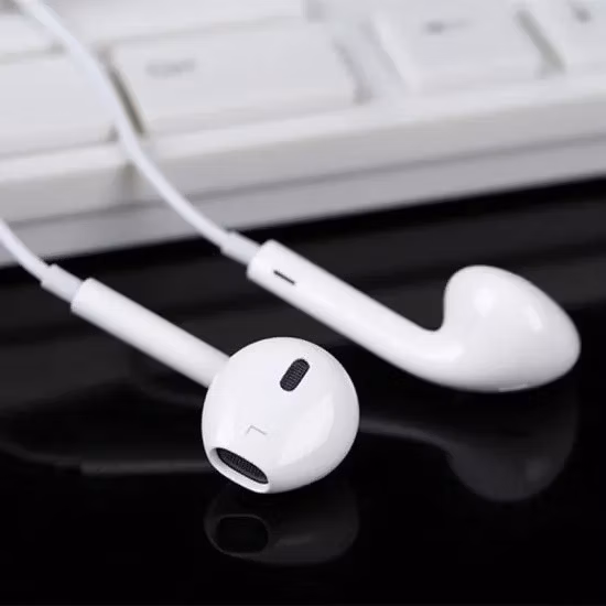 Factory Mfi Certificate Original Earphone with Mic for iPhone 14 13 12 11 Xs Xr 8 7 6s 5se Apple iPad PRO Fast Charging Data 1.2m