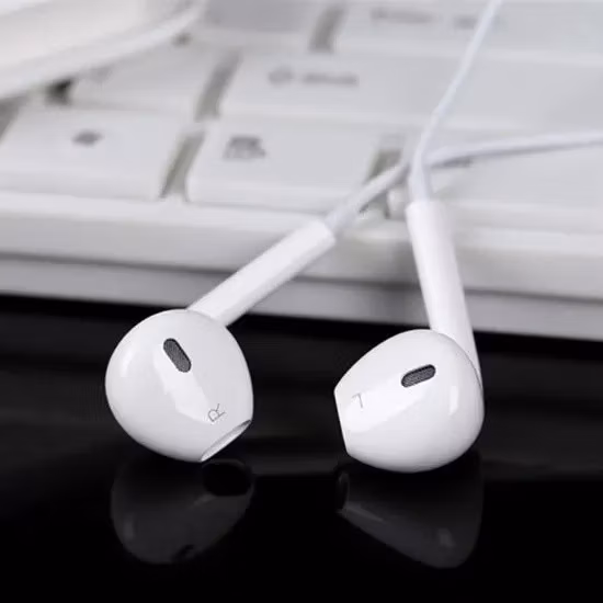 Factory Mfi Certificate Original Earphone with Mic for iPhone 14 13 12 11 Xs Xr 8 7 6s 5se Apple iPad PRO Fast Charging Data 1.2m